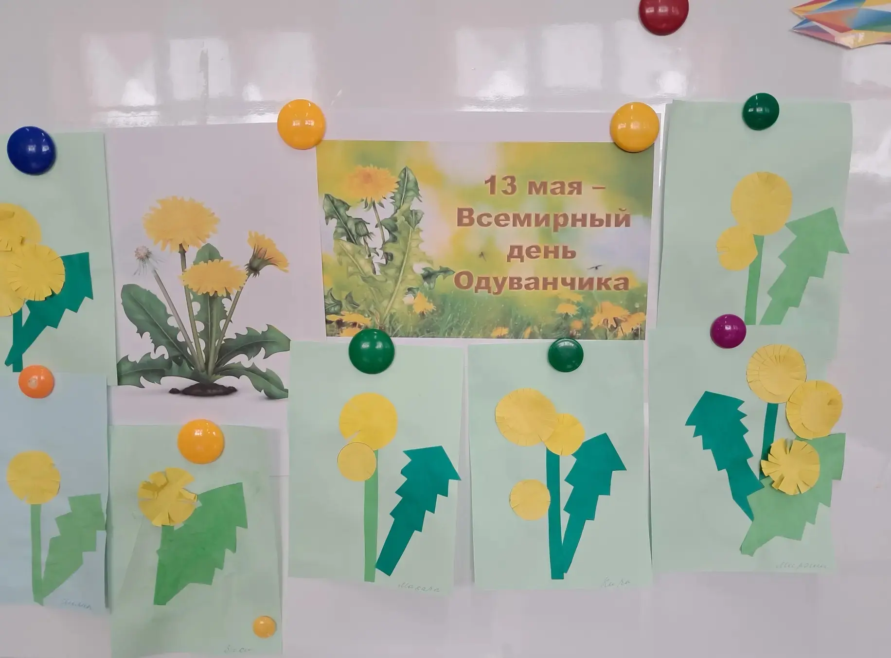 🌼🌼🌼
13 мая отмечают праздник, который посвящён кусочку майского солнышка - одуванчику. Сегодня - 