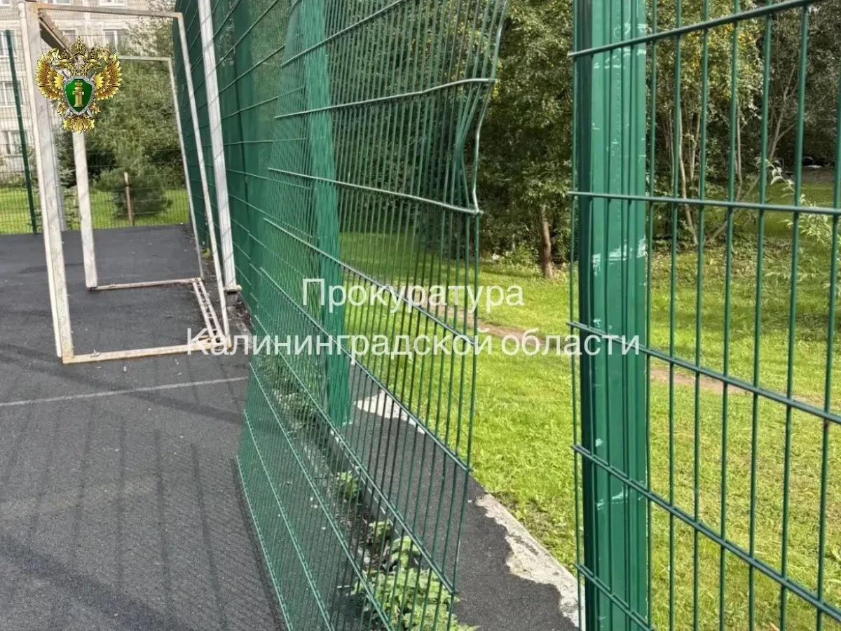 Прокуратура Зеленоградска через суд взыскивает 100 тыс. рублей за травму ребенка на спо...