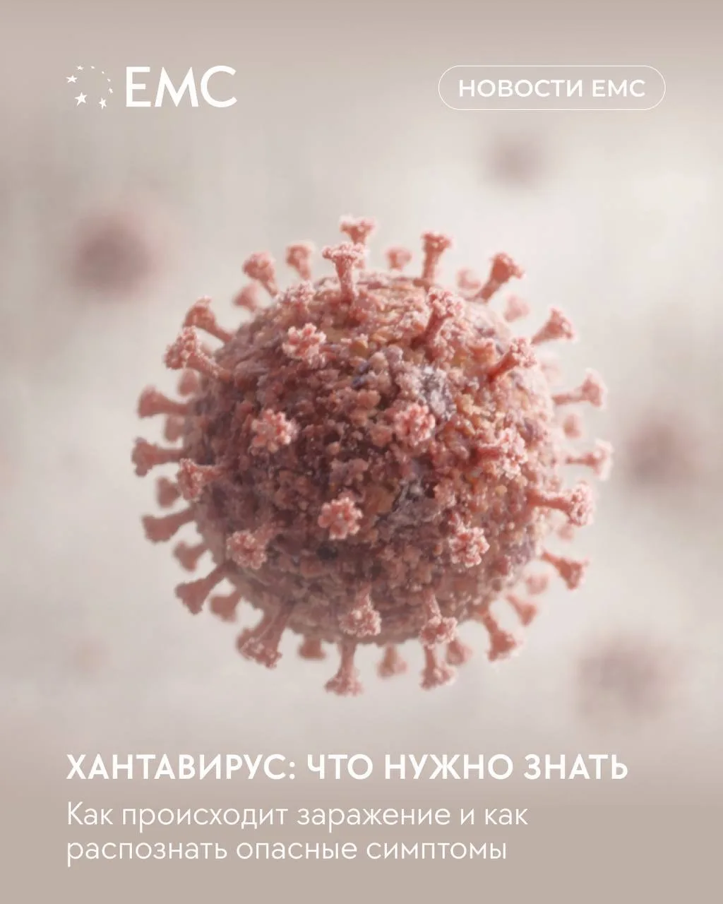 🦠 Хантавирус: что нужно знать