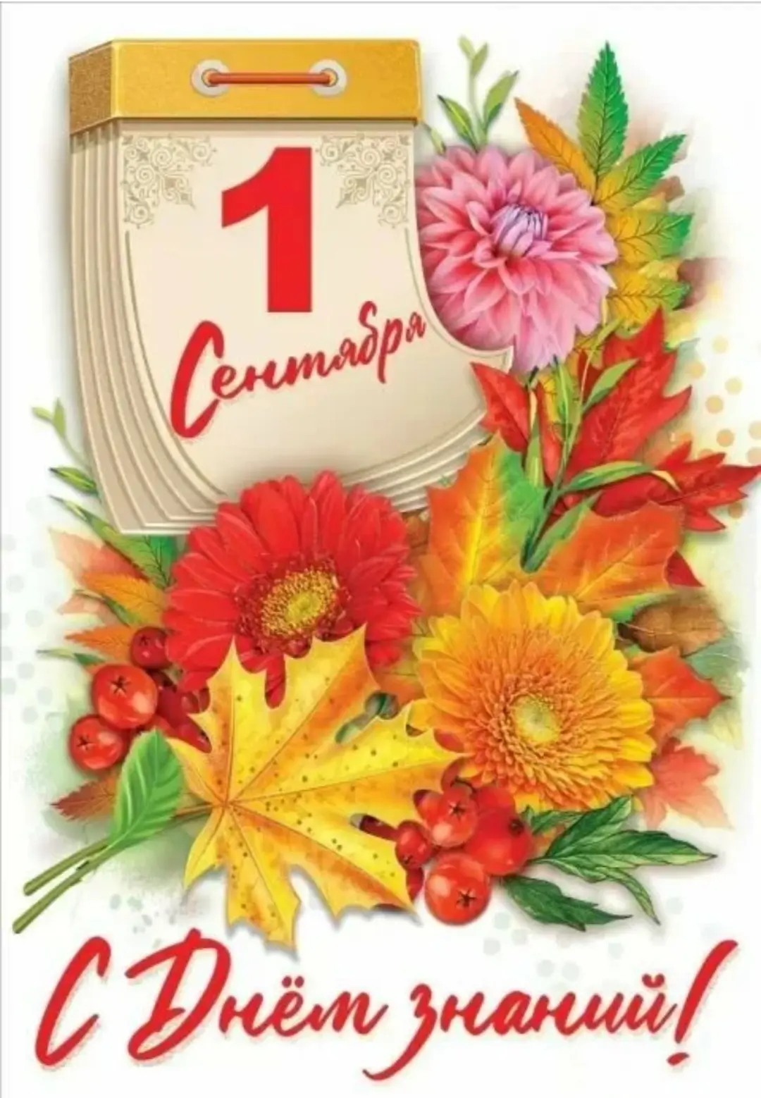 📚С началом нового учебного года!