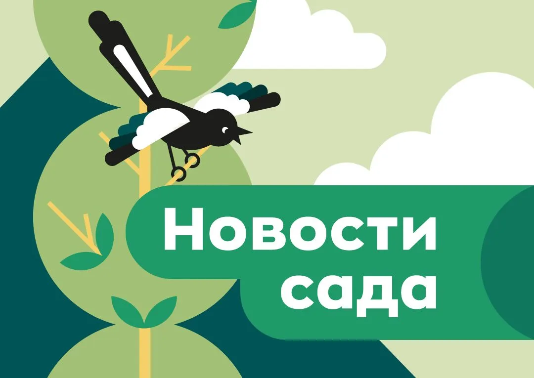 Ураааааа!!! Во вторник еду за разрешением на спил. Дело сдвинулось с мертвой точки.