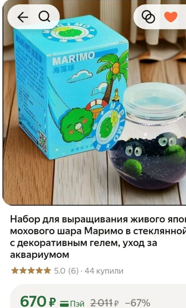 💜Набор для выращивания живого японского мохового шара Маримо в стеклянной банке с деко...