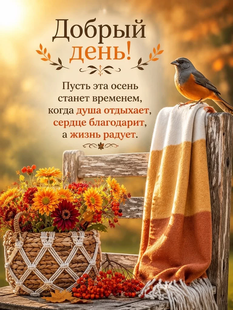 ✨Мир открыток