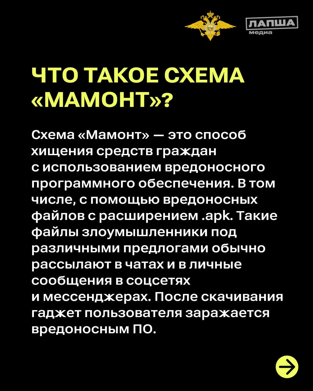 Медиа публикации