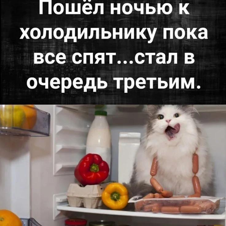 👉 Не забудь подписаться:
Озорные котики 🐈 🐾