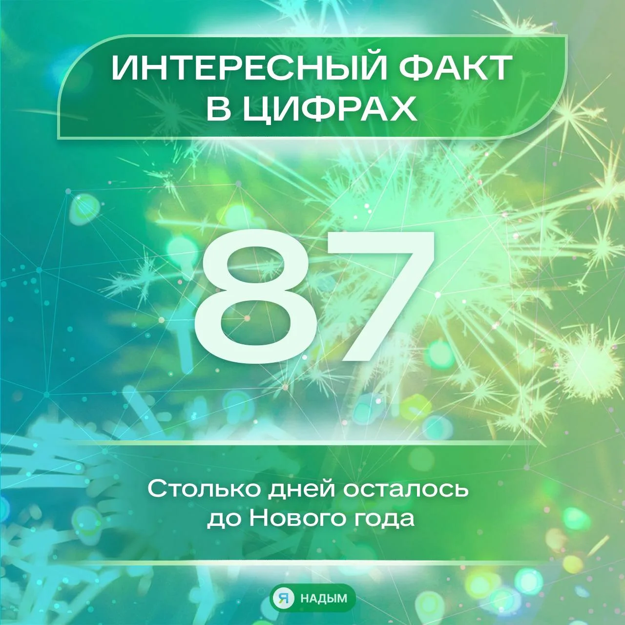 🎄 До «Пять минуууут, пять минуууут…» осталось не так уж и много