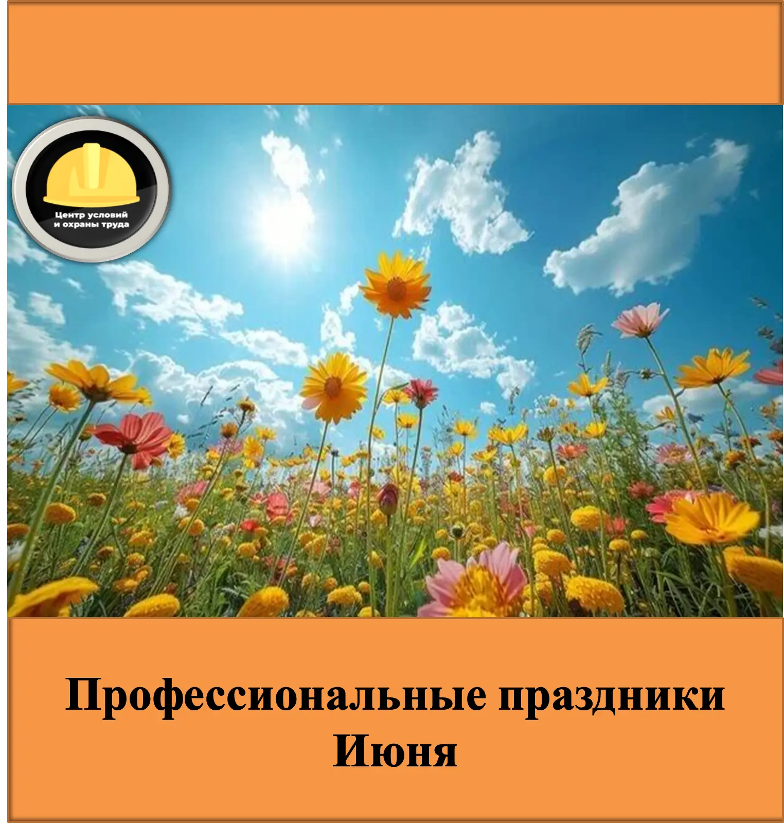 В июне 2026 года у нас немало поводов сказать «спасибо» профессионалам разных сфер!