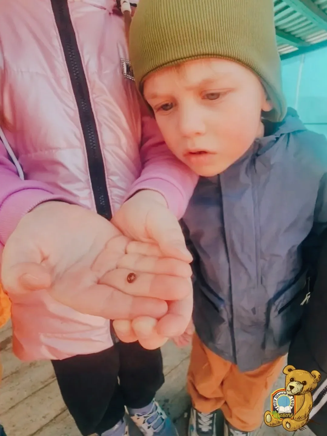 🐞 #ДайджестДошколят | Маленькие чудеса весны  Весна уже здесь — и её легко узнать по самым маленьким