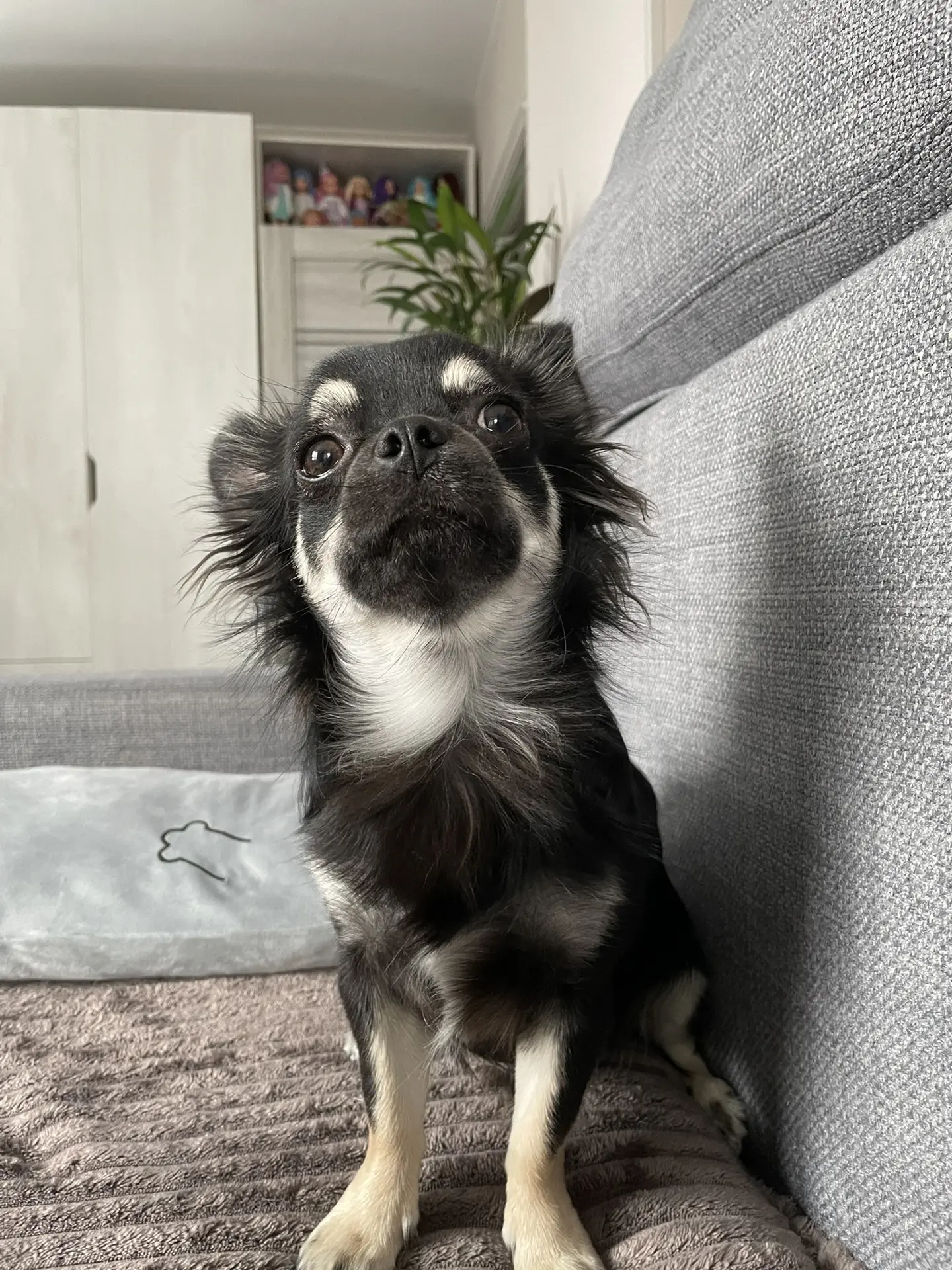 А? Что? Где?