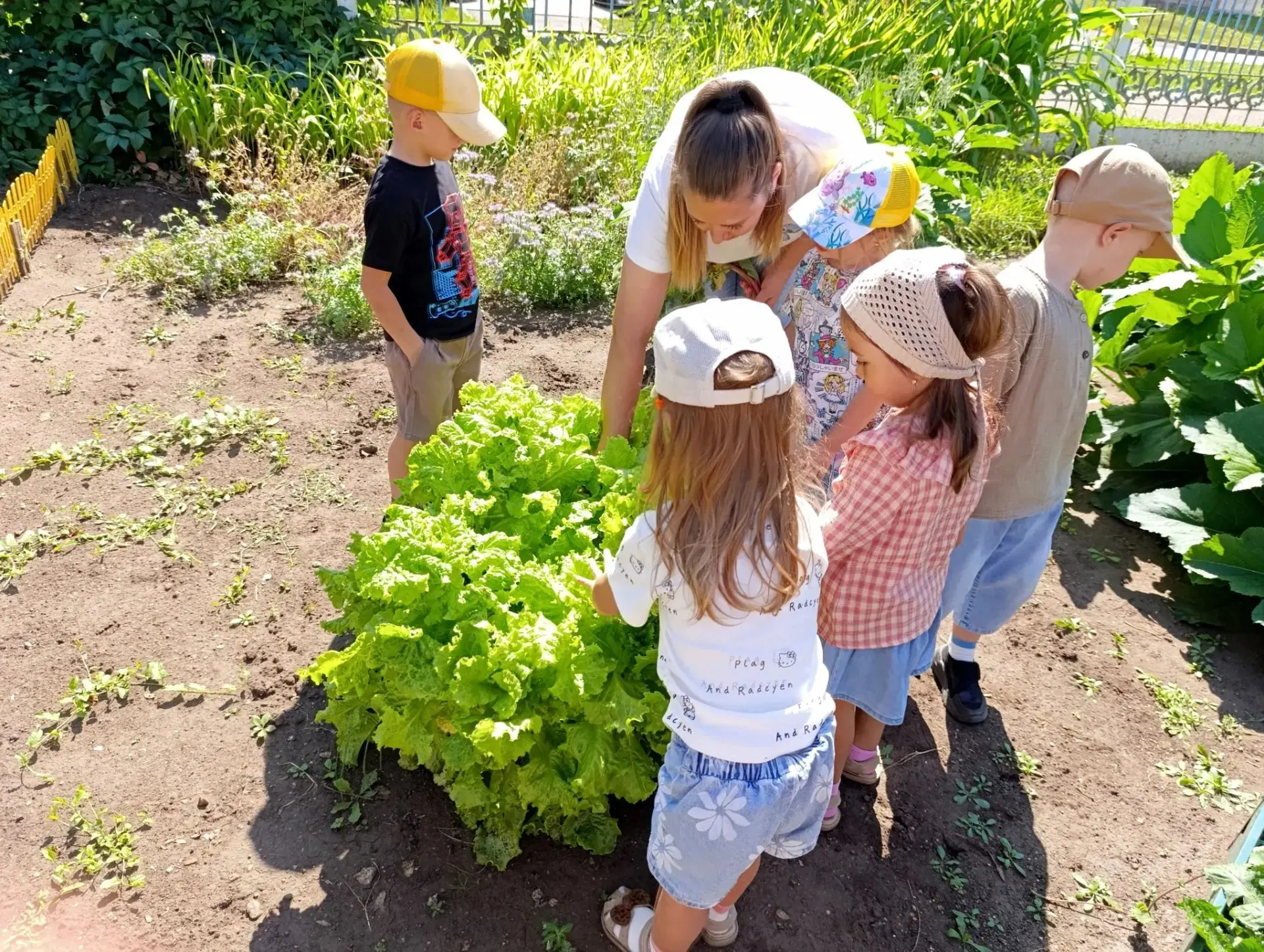 Огородный десант в группе №7: возвращение к «витаминным» грядкам! 🥕🍅
