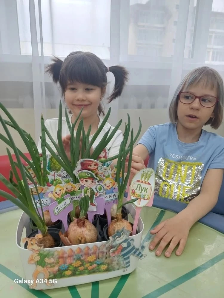 🌱 Наши «Орлята-дошколята» и чудо на окошке!