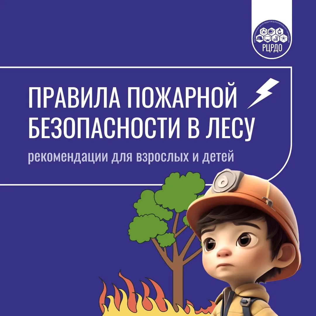🌿 День лесов: сохраняем природу - помним о безопасности!