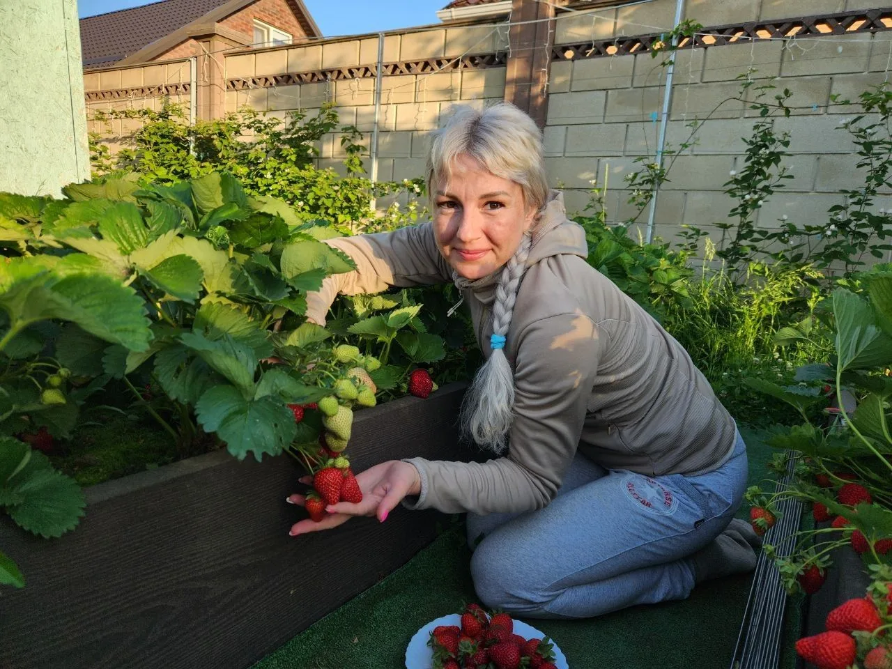 Две недели беспросветных дождей, но урожай не остановить 🍓

Успела сделать фото, пока в Краснодаре 