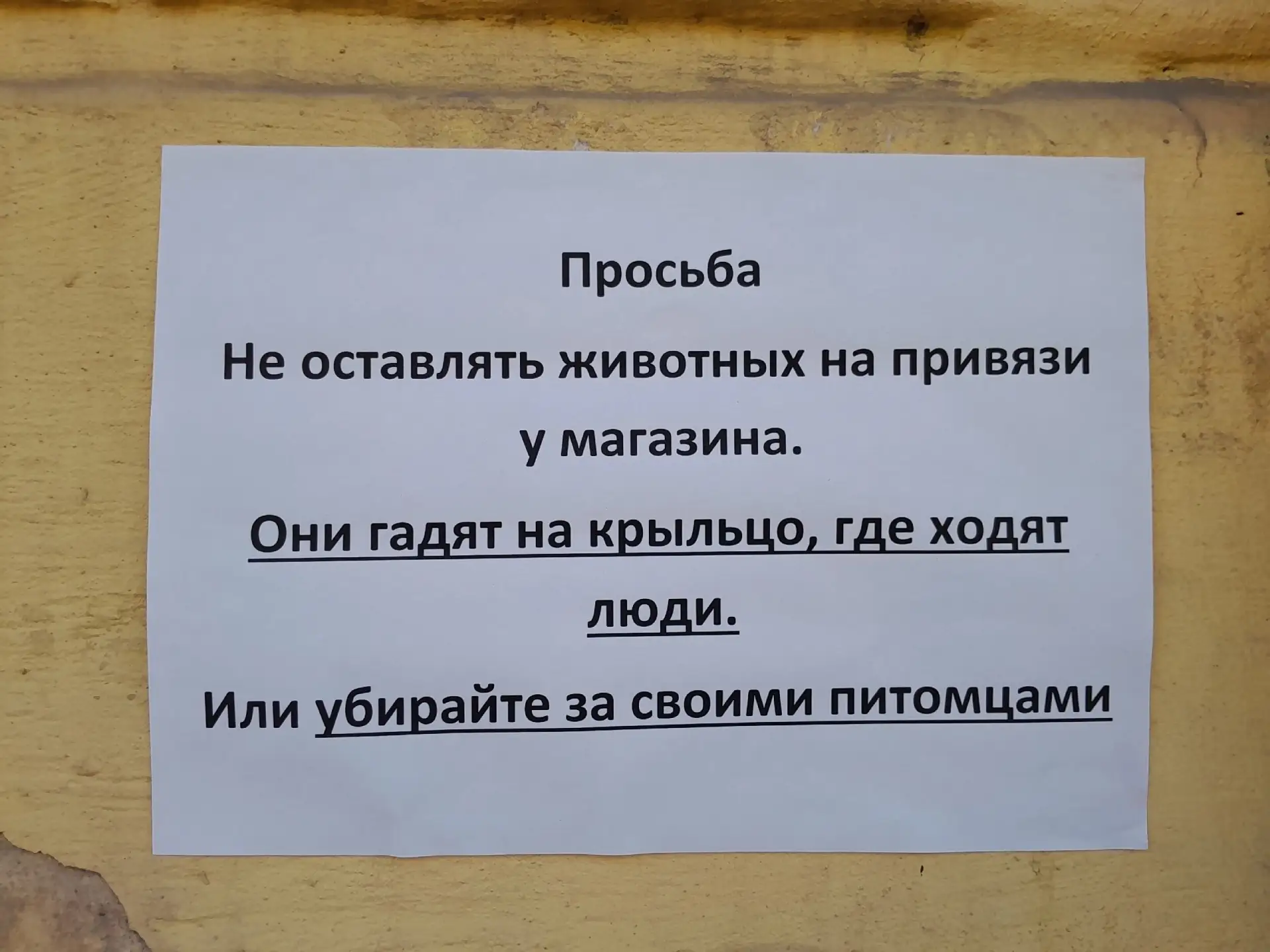 #объявленияЧереповца Призыв от магазина кожгалантереи на улице Металлургов. Вопрос, что заставляет с