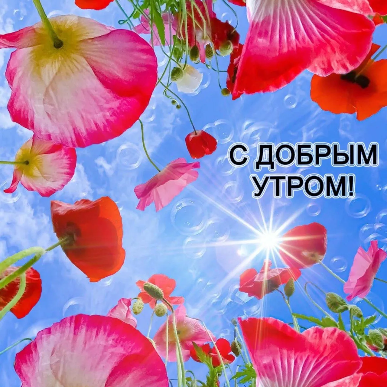 ☀️ Доброе утро!

Сегодня четверг, 30 июля. Пусть этот день подарит каждому хорошее настроение, новые