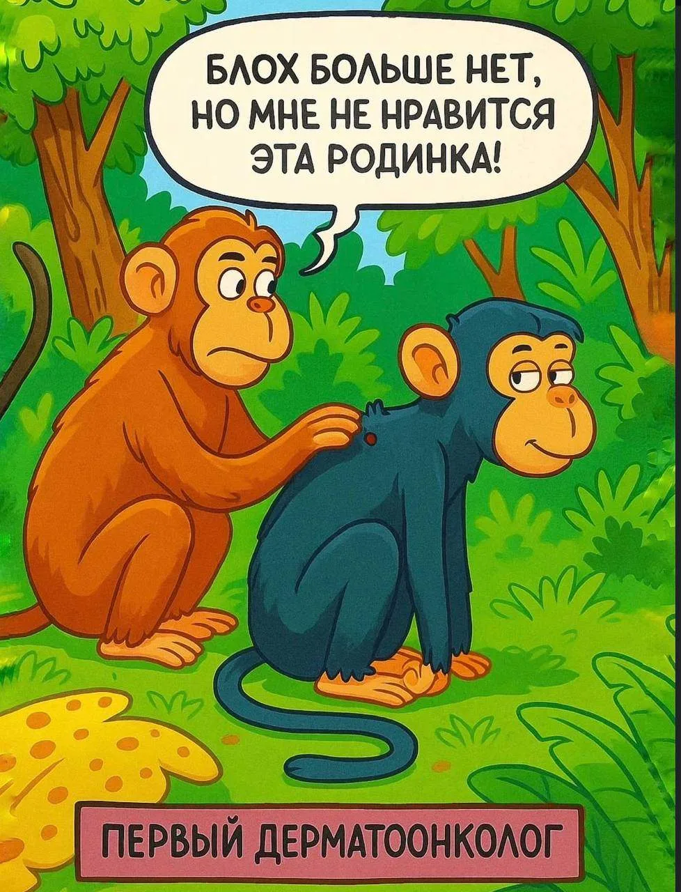Начало….
