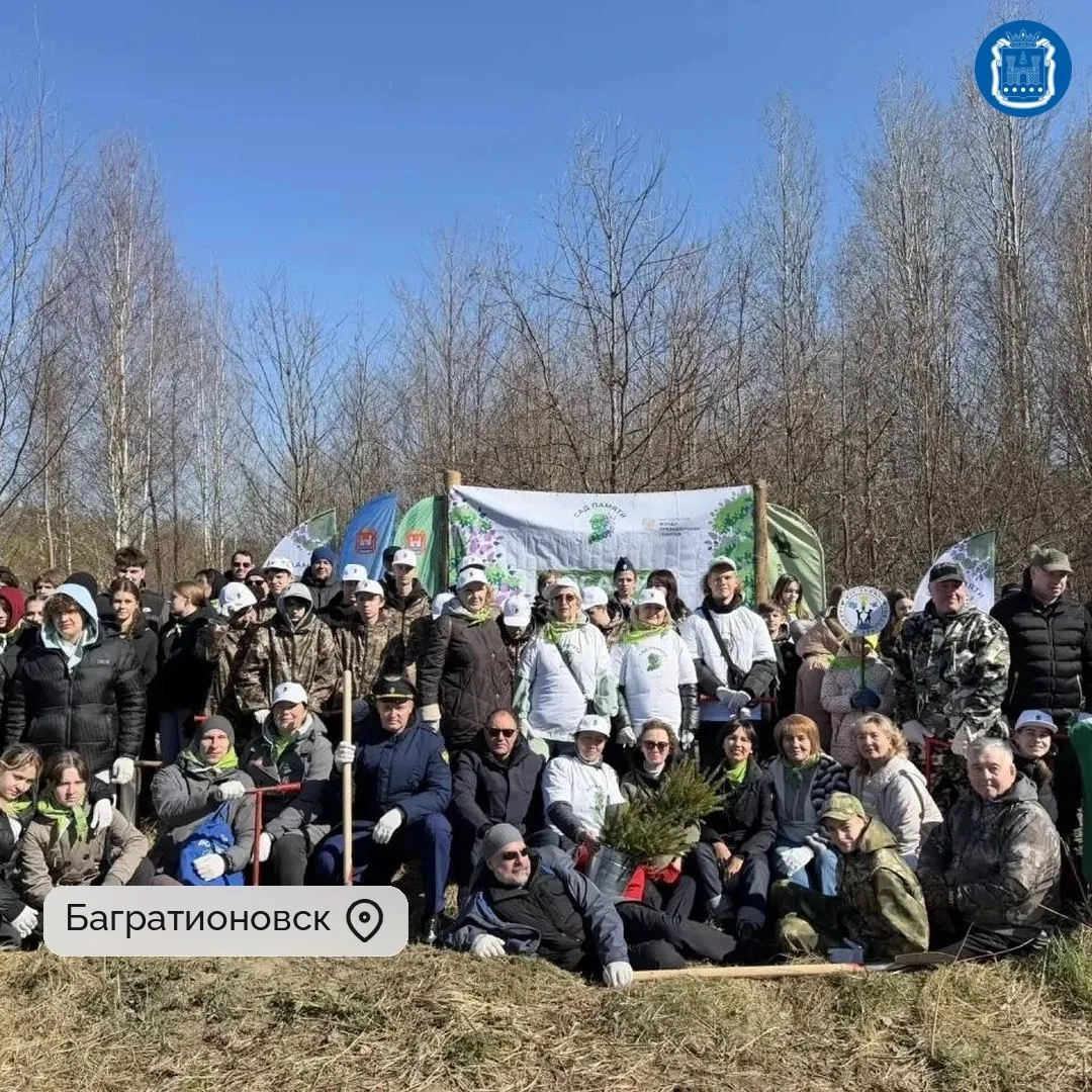 К акции «Сад памяти» в этом году присоединились жители 11 муниципалитетов региона.