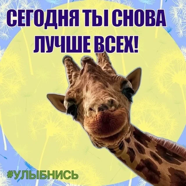 🌟 Улыбнись! 🌟 
 
Сегодня — тот день, когда ты снова лучше всех! 💖 Не забывай, что каждый из нас у