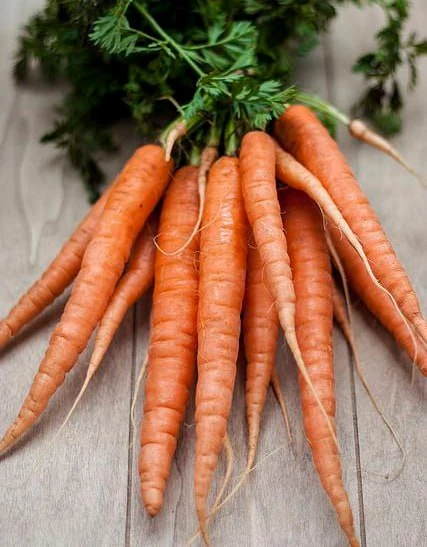🥕 Морковь сразу пойдет в рост: полейте грядку этим раствором - первый шаг к хорошему урожаю   👉 Част