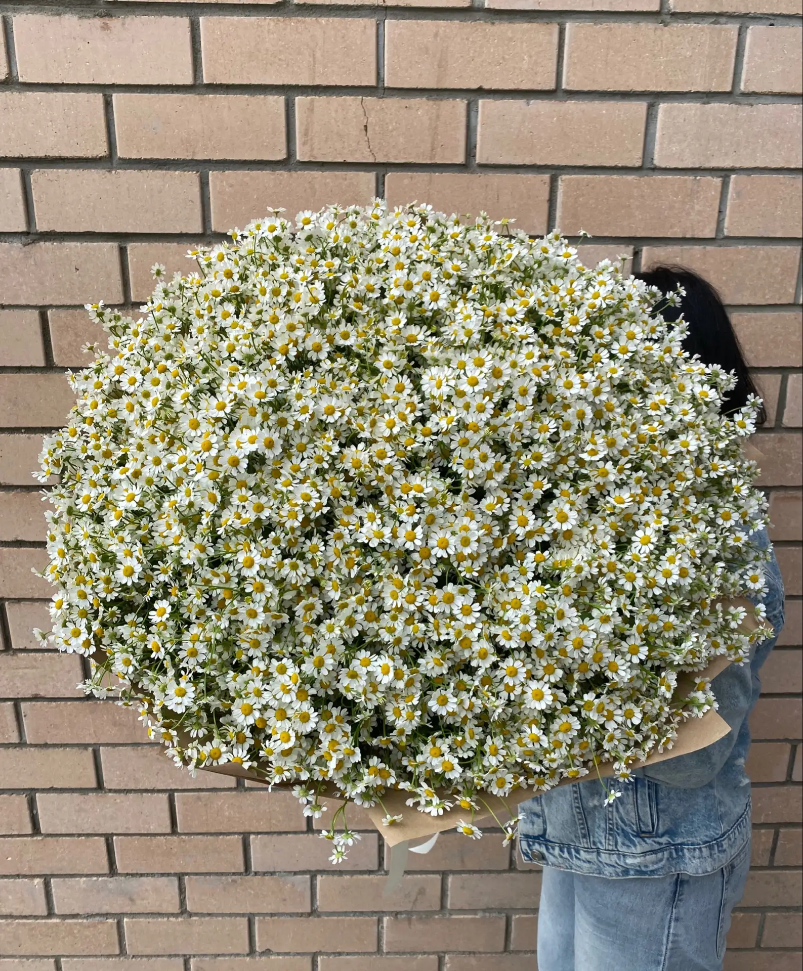Полевая нежность в городском ритме 🌿


Не 101 роза, а 101 ромашка. Почему нет? 🤍

Представляем вам