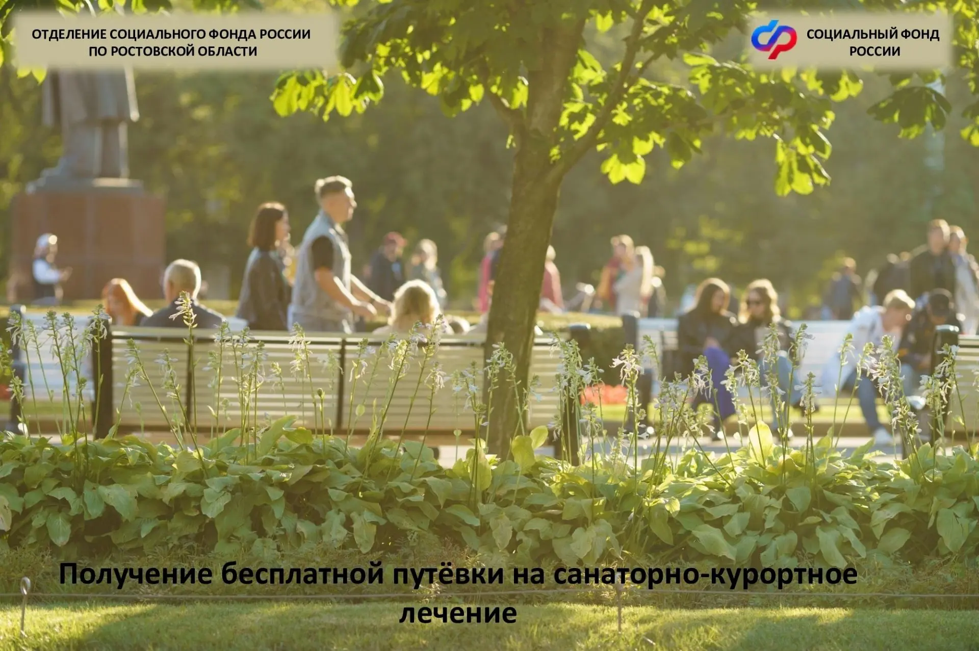 🧳Как получить бесплатную путёвку на санаторно-курортное лечение?