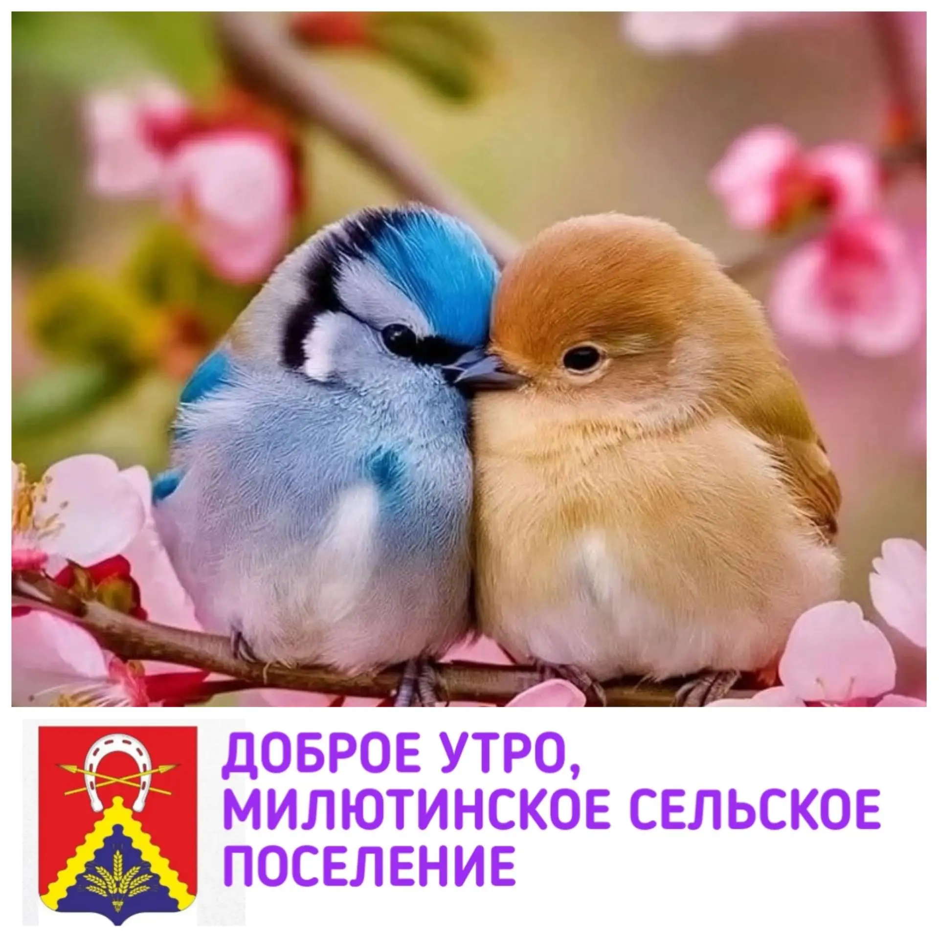 🎊С ПРЕКРАСНОЙ и долгожданной ПЯТНИЦЕЙ!