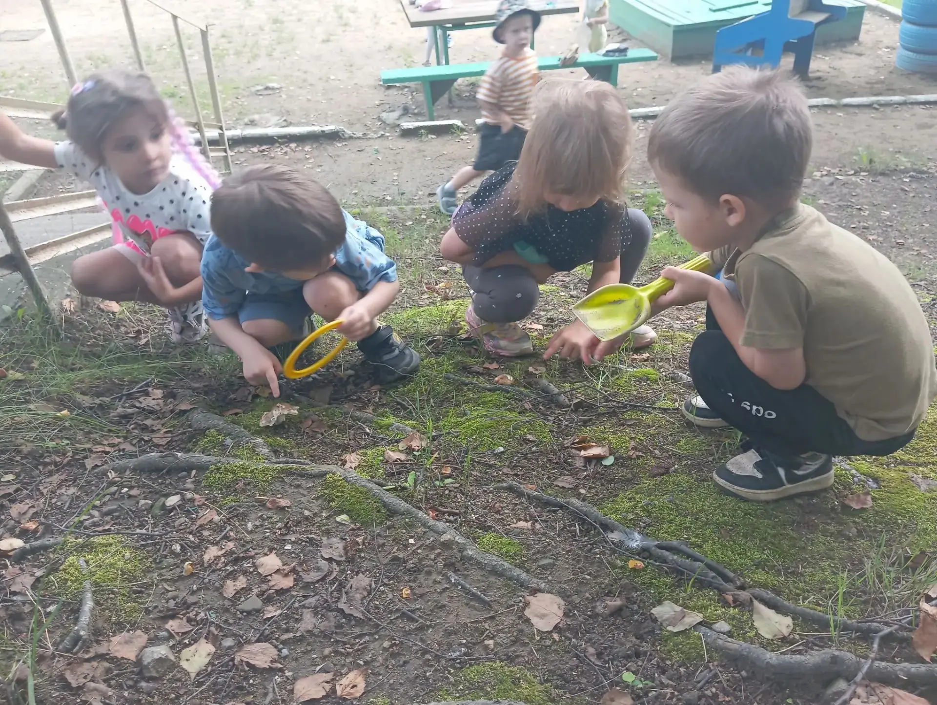 Что прячется в траве👀❓️
Сегодня на прогулке ребята 🧒👧👱сделали настоящее открытие — в траве нашёл