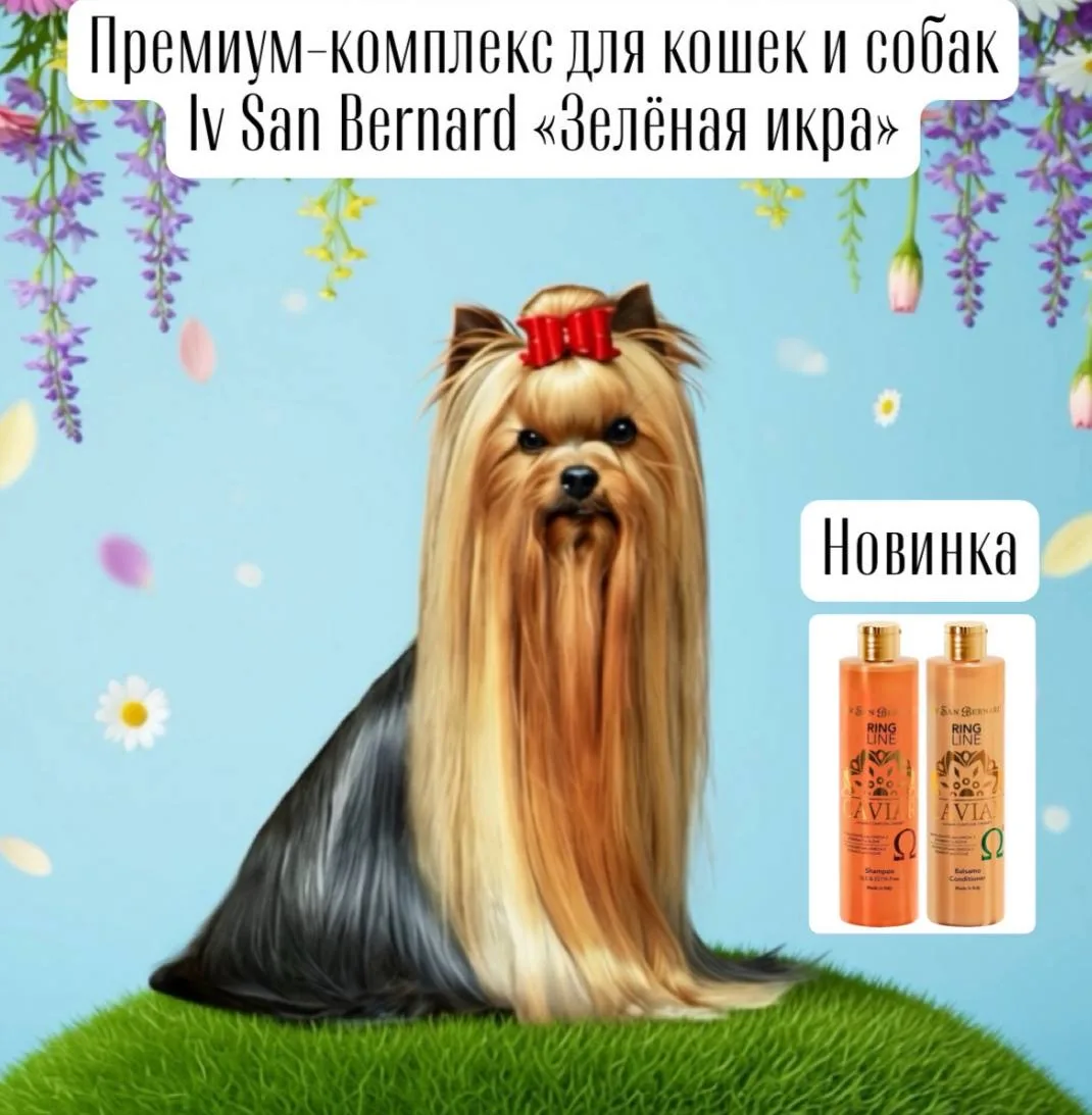 💎 ПРЕМИУМ-комплекс в «Цацагрум»