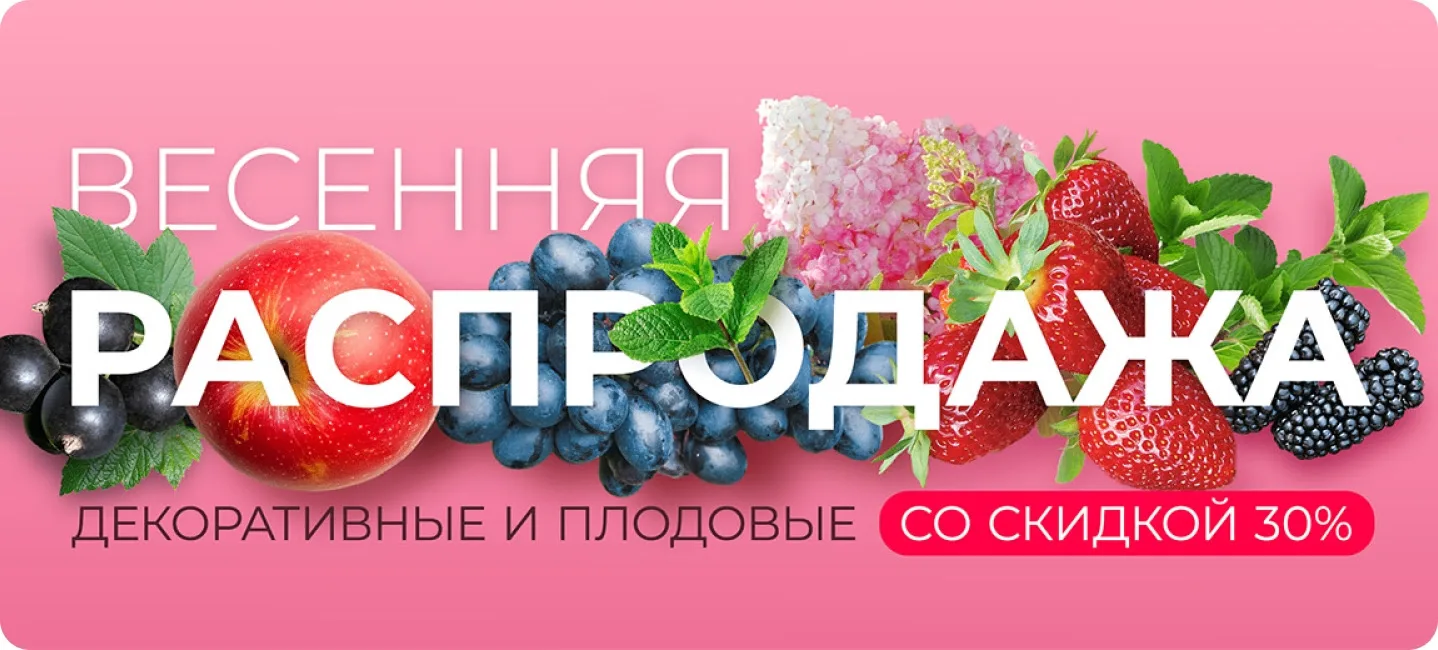 ⚡️ ВНИМАНИЕ: АССОРТИМЕНТ РАСШИРЕН! Друзья, наша распродажа набирает обороты! Мы не останавливаемся и