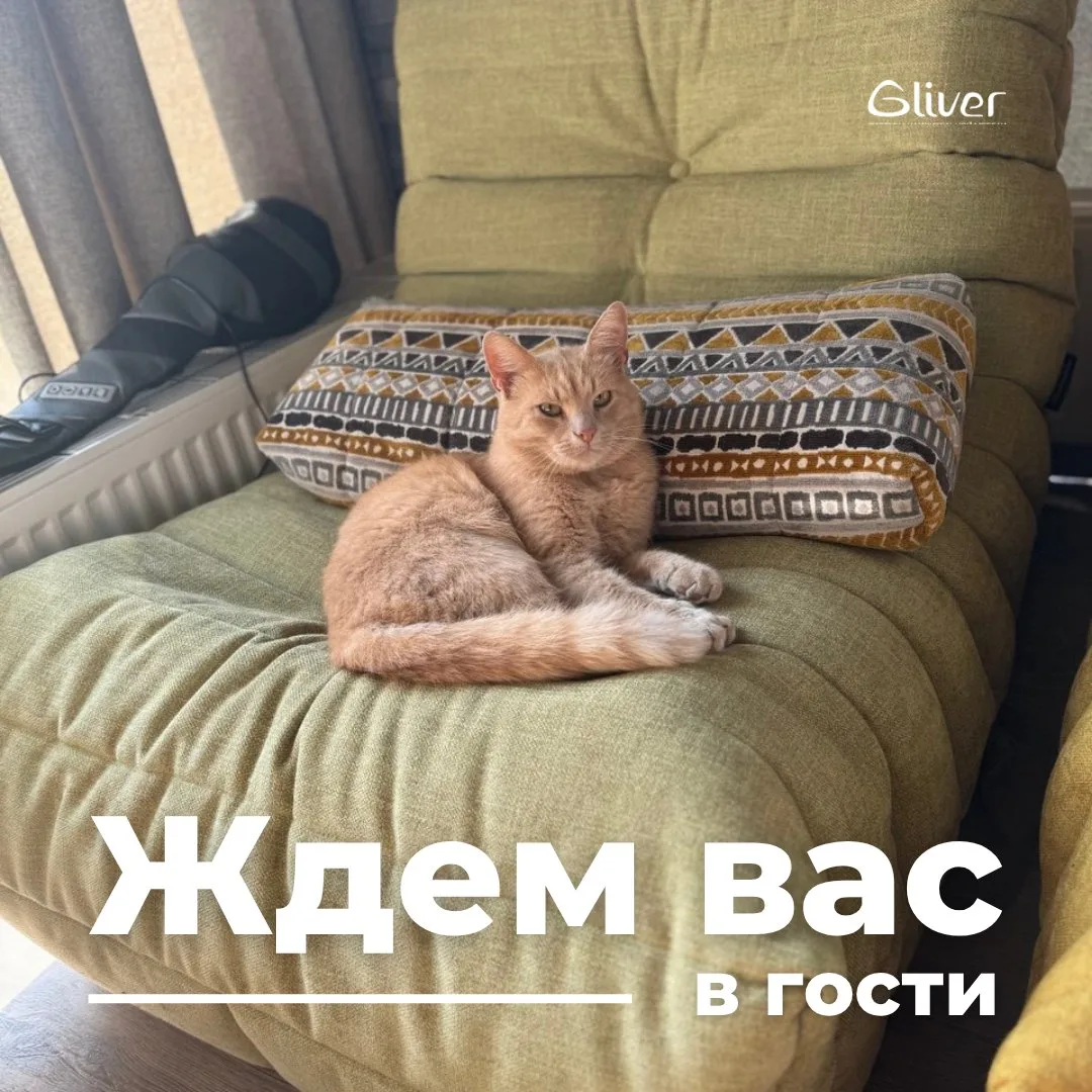 Многие наши клиенты говорят, что после покупки супермягкого и комфортного дивана семья ...
