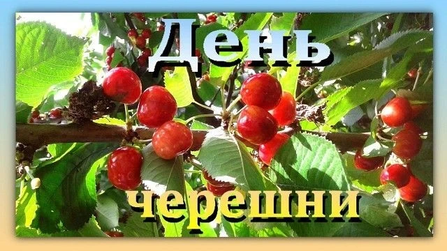 День черешни: праздник вкуса и природы

Лето в самом разгаре, и природа щедро дарит нам свои плоды. 