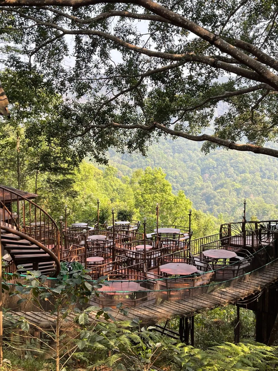 Кофейня Giant Tree House в Таиланде