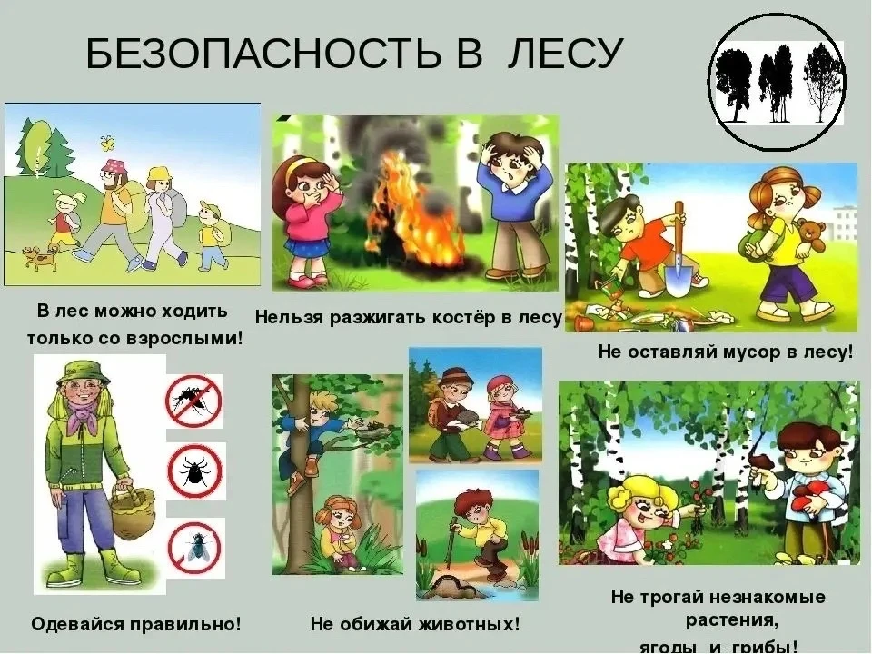 🌼Каникулы – это прекрасное время для активного отдыха. Хочется выехать на природу, пог...
