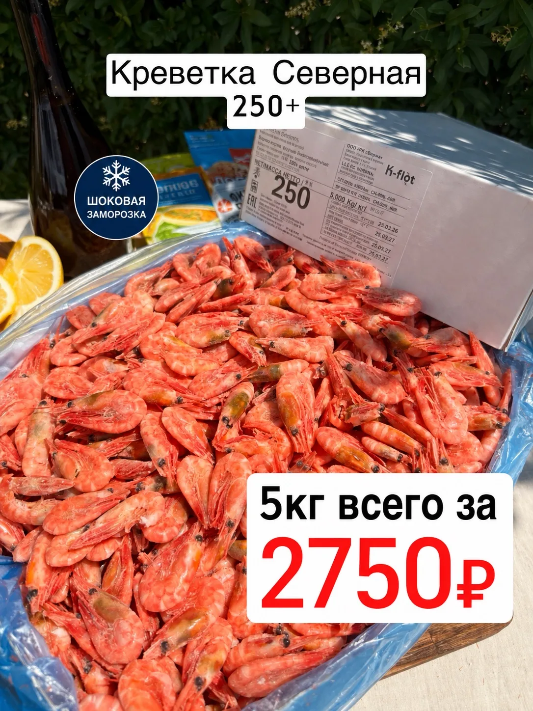 🔥 АКЦИЯ НА ЛЮБИМУЮ СЕВЕРНУЮ КРЕВЕТКУ 250+🔥