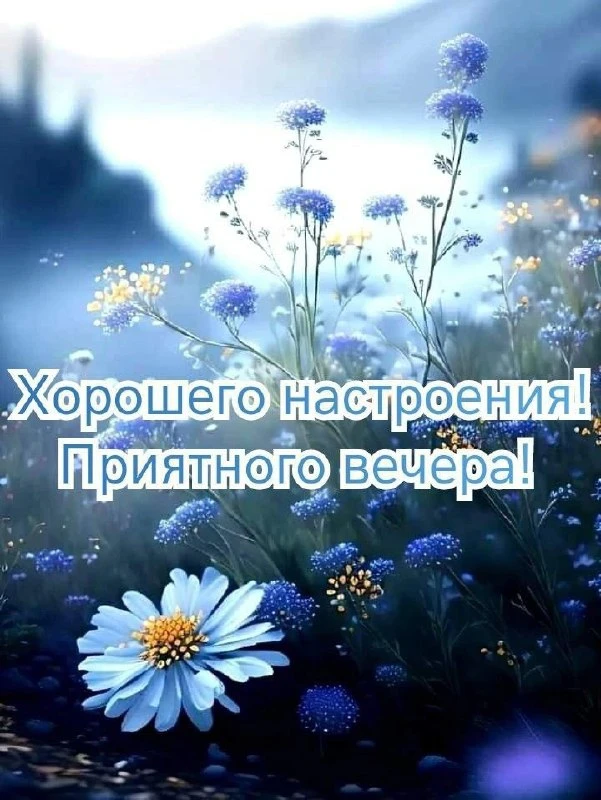 💙🌿💙🌿💙🌿💙🌿💙🌿