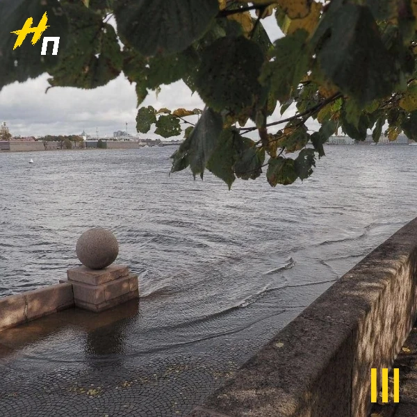 ⚡️Петербург готовится к шторму: Нева уже превысила норму