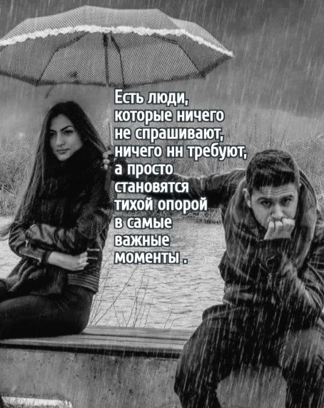 Цитаты жизни