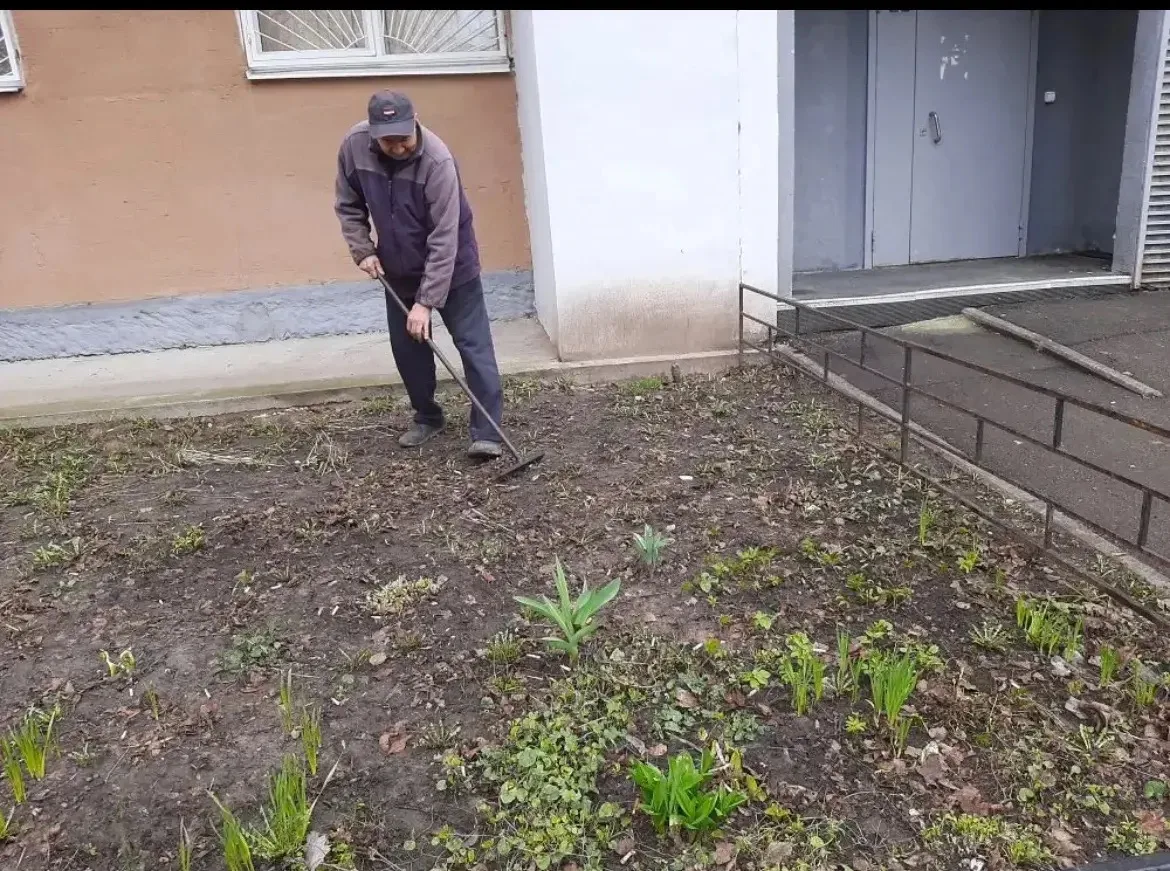 Двор — это наша общая комната 🏡
