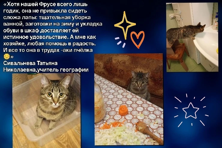 Кто согревает наших учителей после уроков❓
