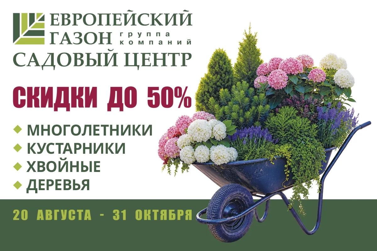 Изображение 1 к публикации «Белгород»