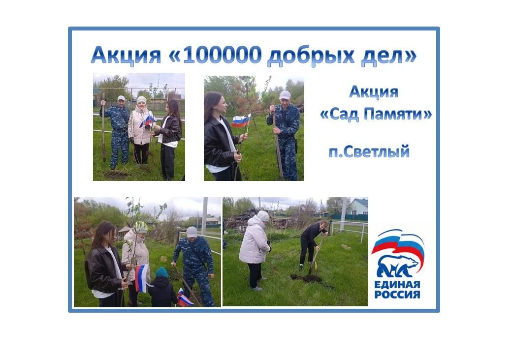 Акция "Сад памяти"стала примером добрых и дружеских отношений нового руководителя Светл...
