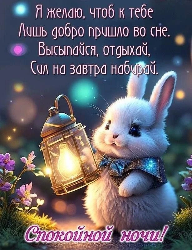 🌜✨✨✨