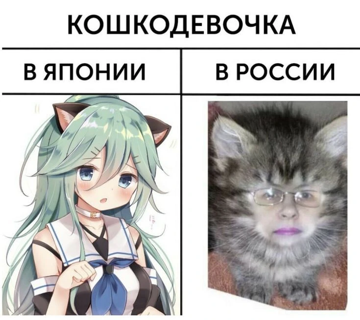 Другие наши каналы ❗