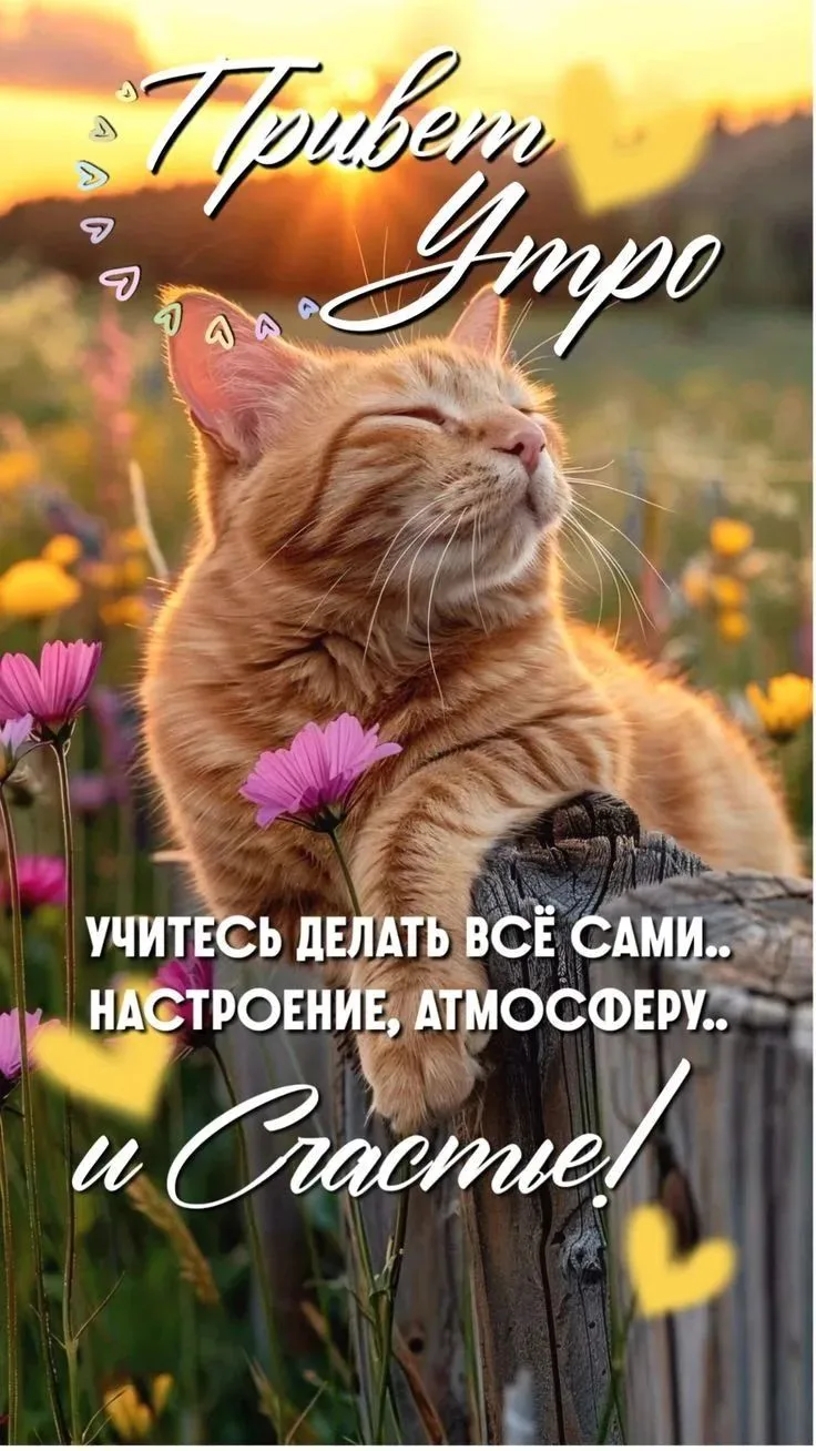 Пусть жизнь тепло и радость принесет!