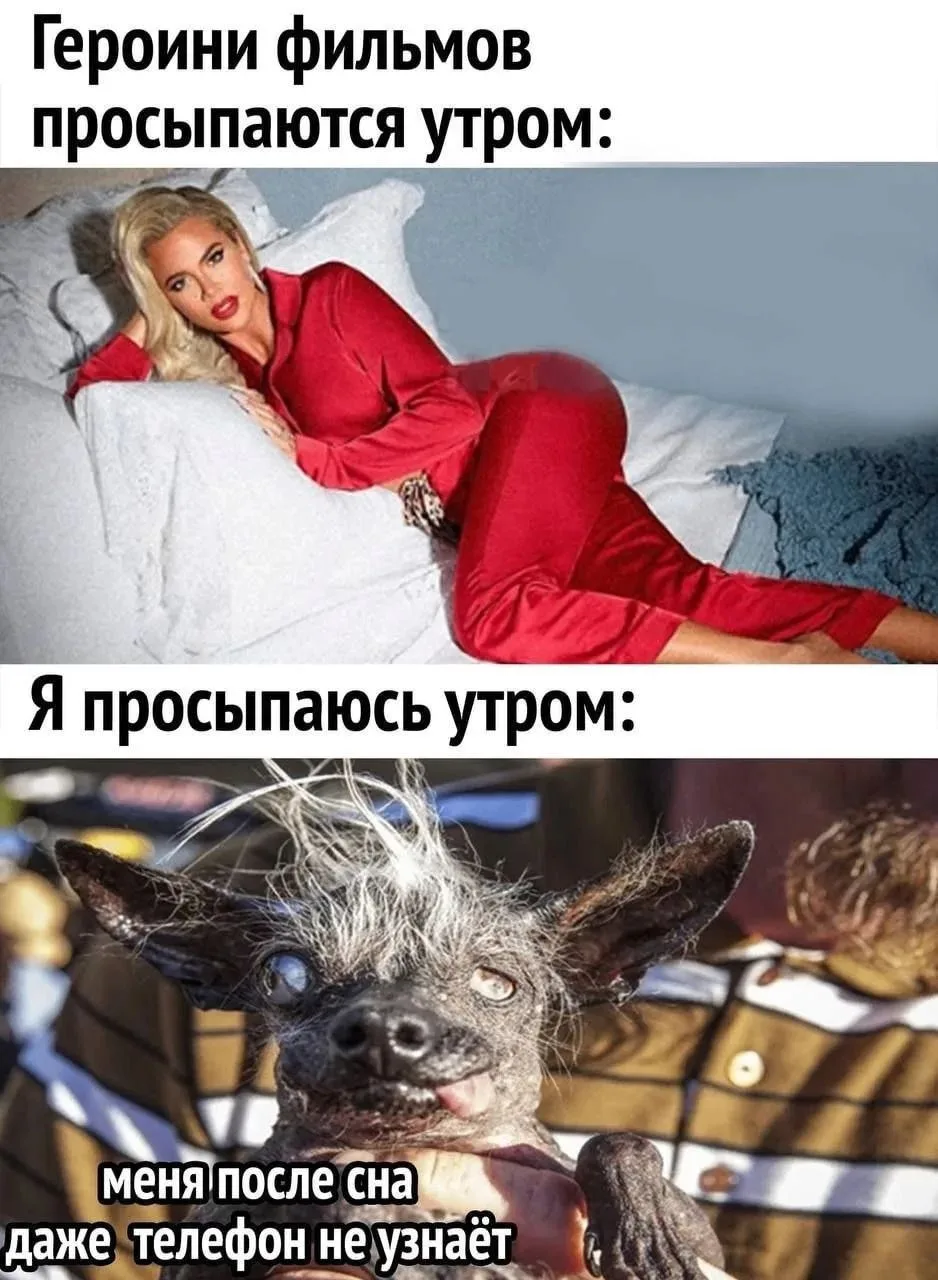 ПРУFИКИ В МАХ