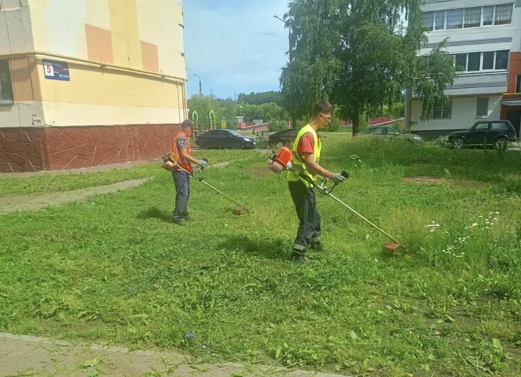 Покос травы во дворе домов   -  это важная часть работы по благоустройству и поддержанию комфортной 