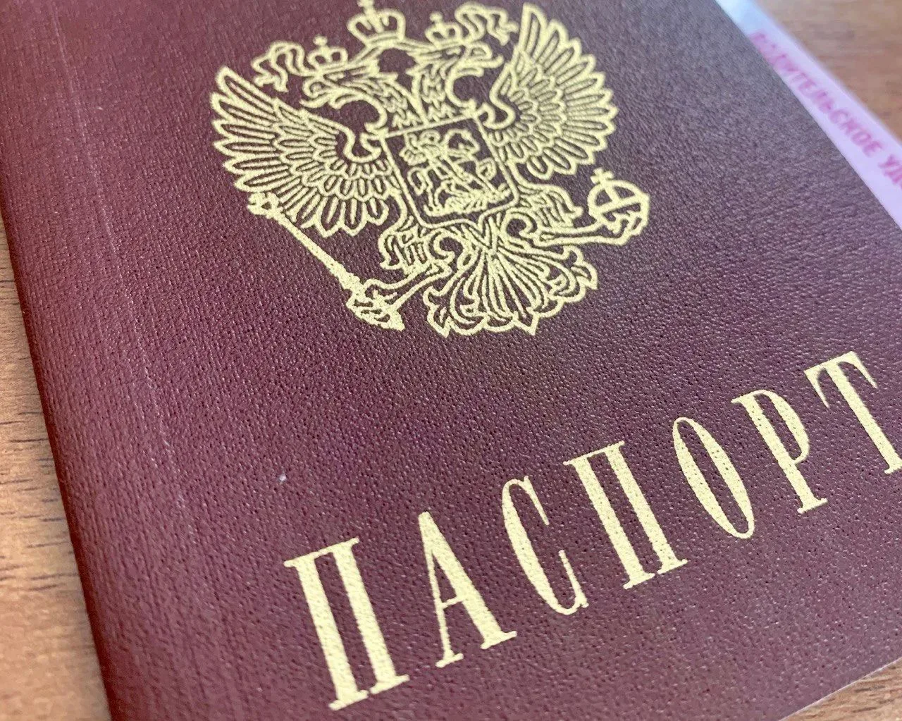 В МВД напомнили, какие зарубежные направления доступны россиянам для путешествий по вну...