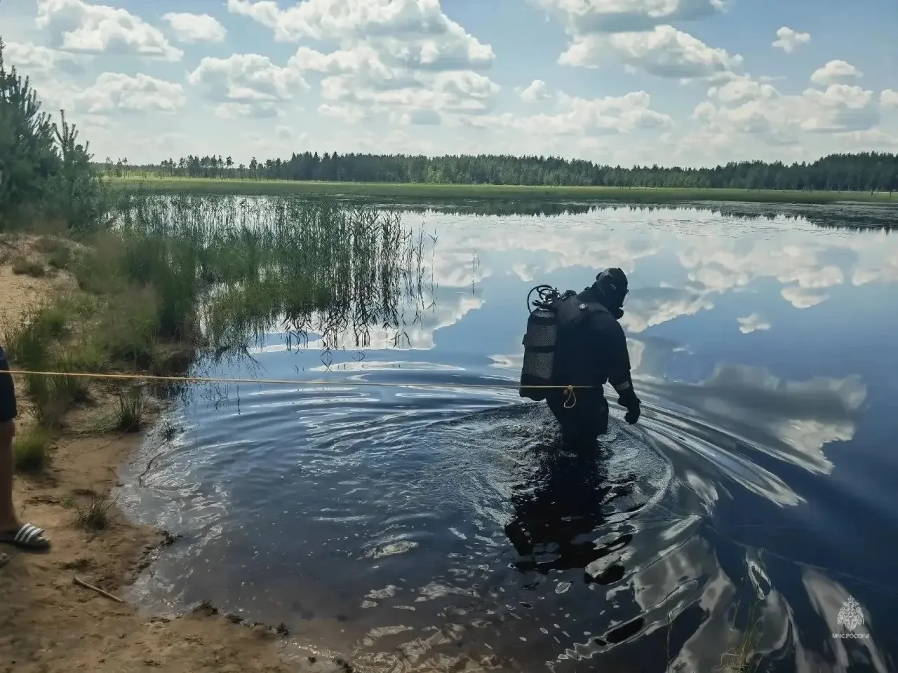 В пруду под Гусь-Хрустальным утонул мужчина ❗