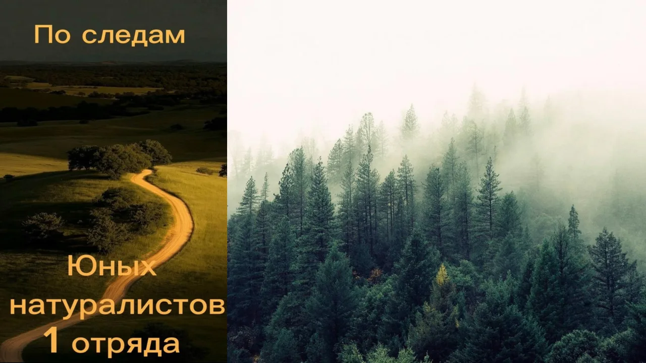 Гербарий 1 АРТ-ЛАБОРАТОРИИ! 💚