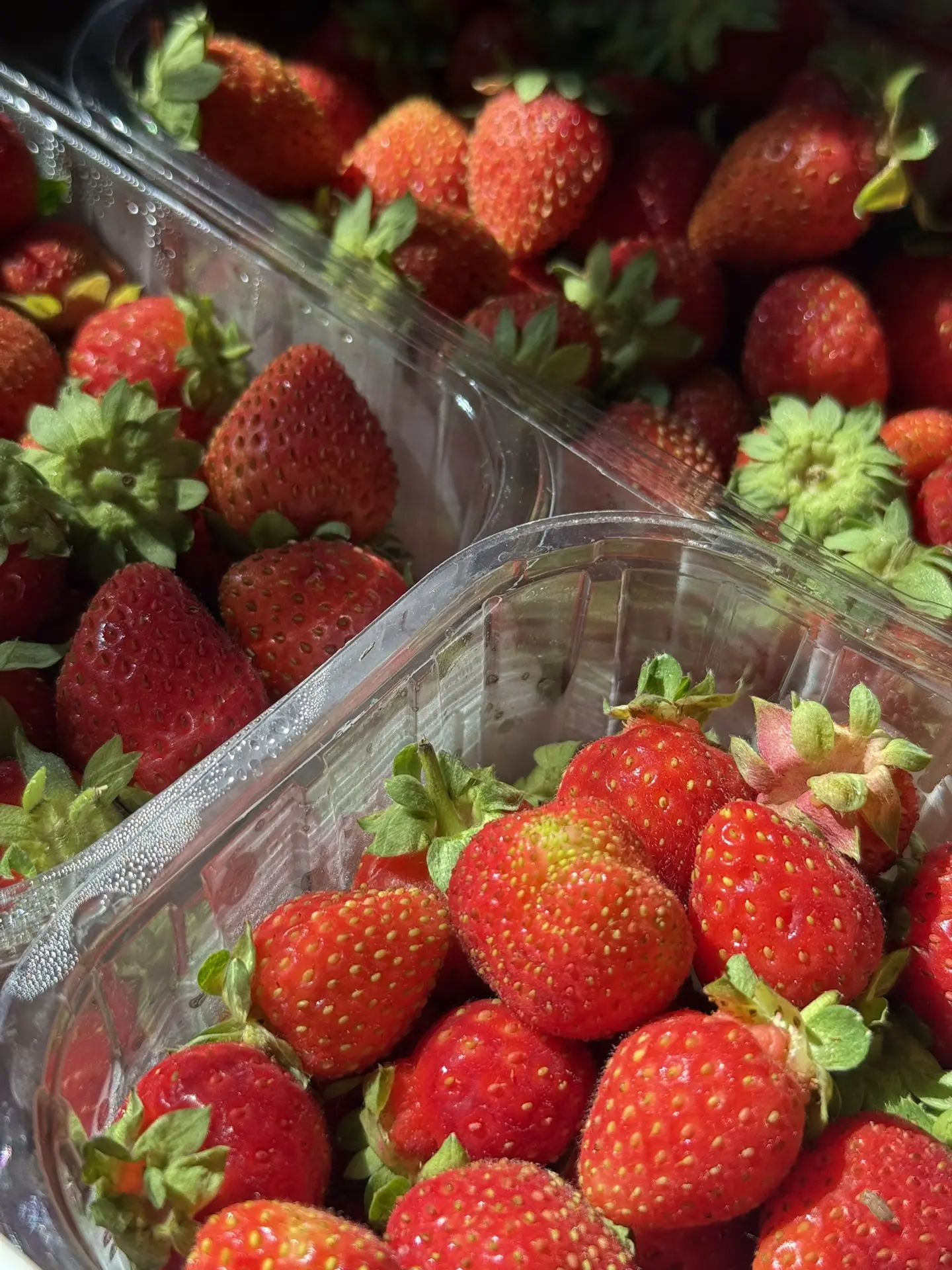 Завтра у нас по плану поставка в сети «Командор» и «Аллея» 🍓

На рынок клубнику не повезем ‼️

Но, 